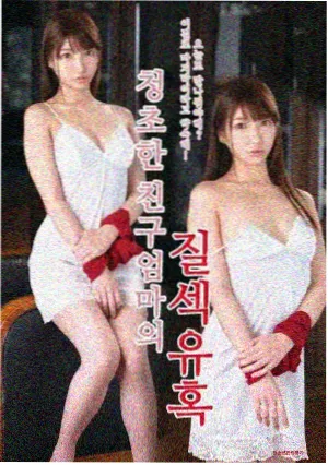 老宅的四季剧集海报